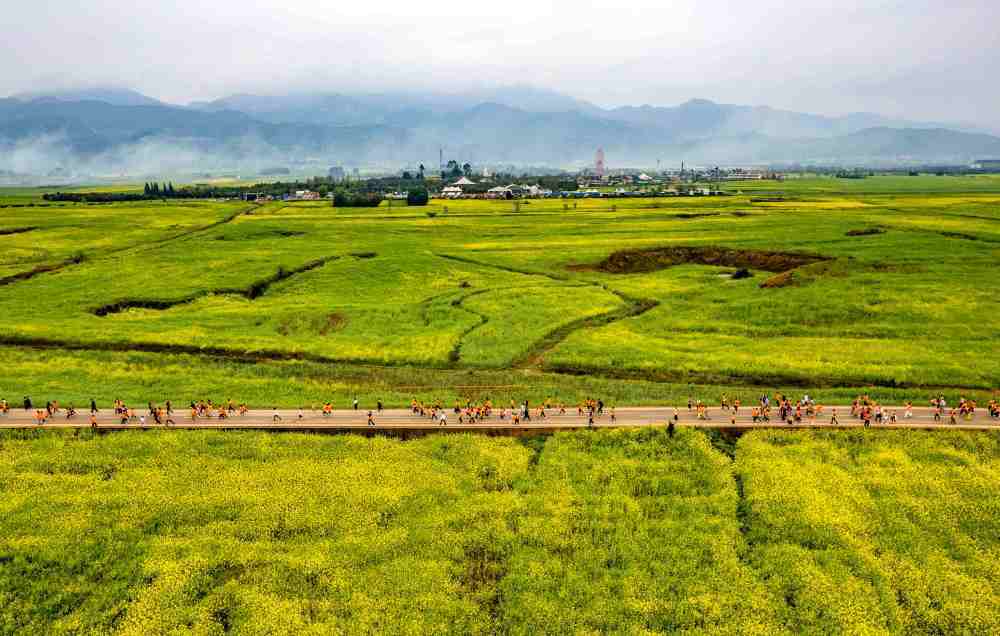 一朵花的N种“打开方式”：多地“赏花+”翻出新花样