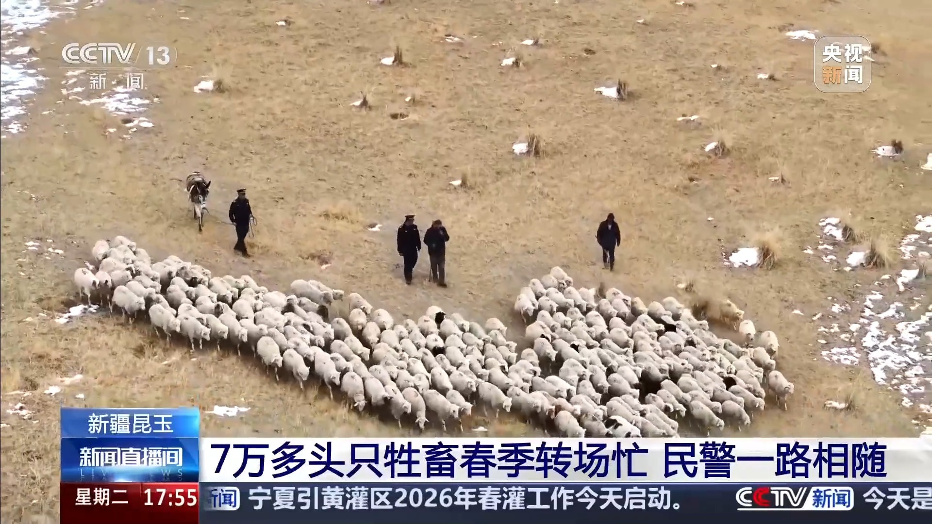  7万多头只牲畜春季转场忙 民警一路护行