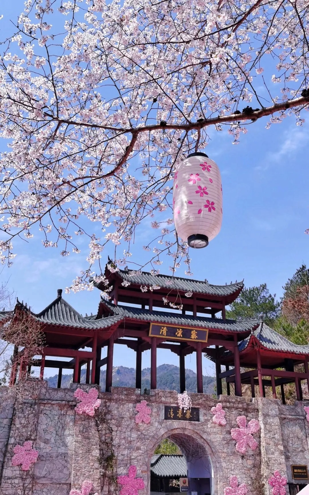  免票！专享优惠！黄陂多家景区官宣