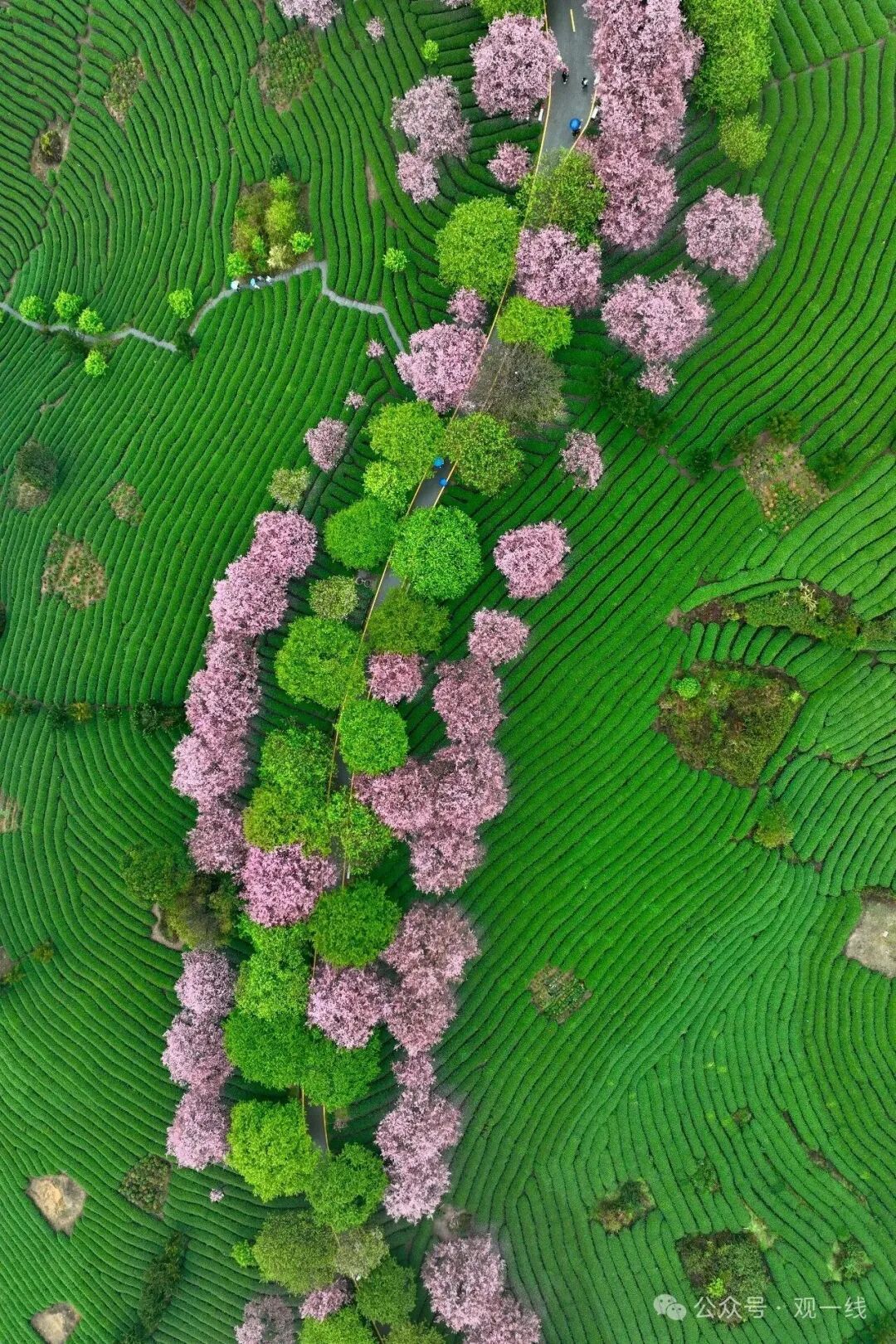 640?wx_fmt=jpeg&from=appmsg&watermark=1&&wxfrom=5&wx_lazy=1#imgI