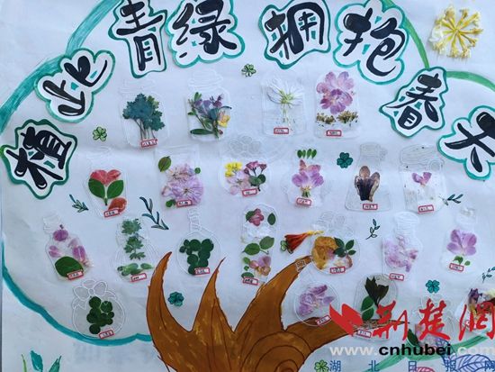  大冶市实验中学各班学子化身“春日收藏家”