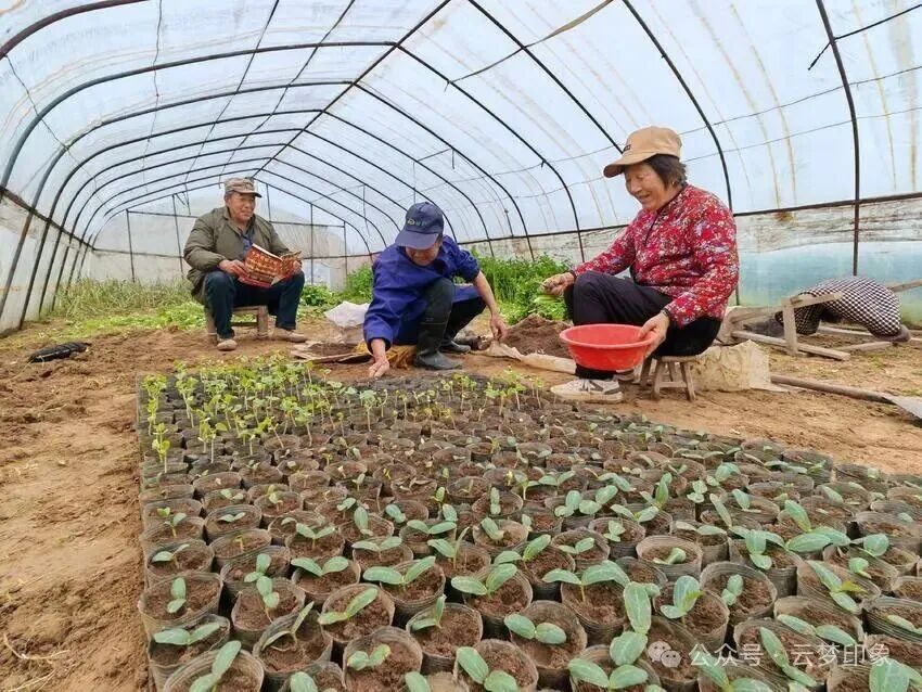 春雨润云梦，田间农事忙，不负好春光
