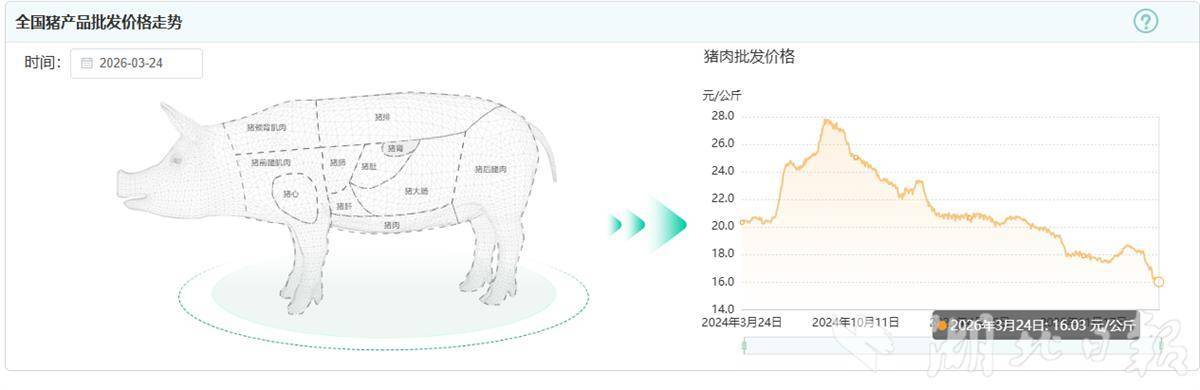  排骨售价10元/斤 平价猪肉降至“个位数” “吃肉自由”会持续多久？