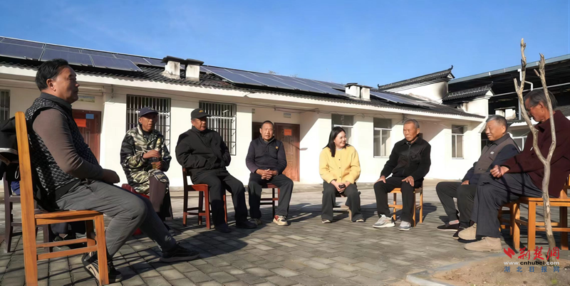 英山杨柳湾镇探索基层廉洁治理新路径