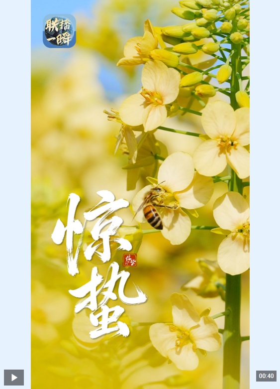 文化中国行·联播一瞬丨惊蛰：以春为序 向阳生长
