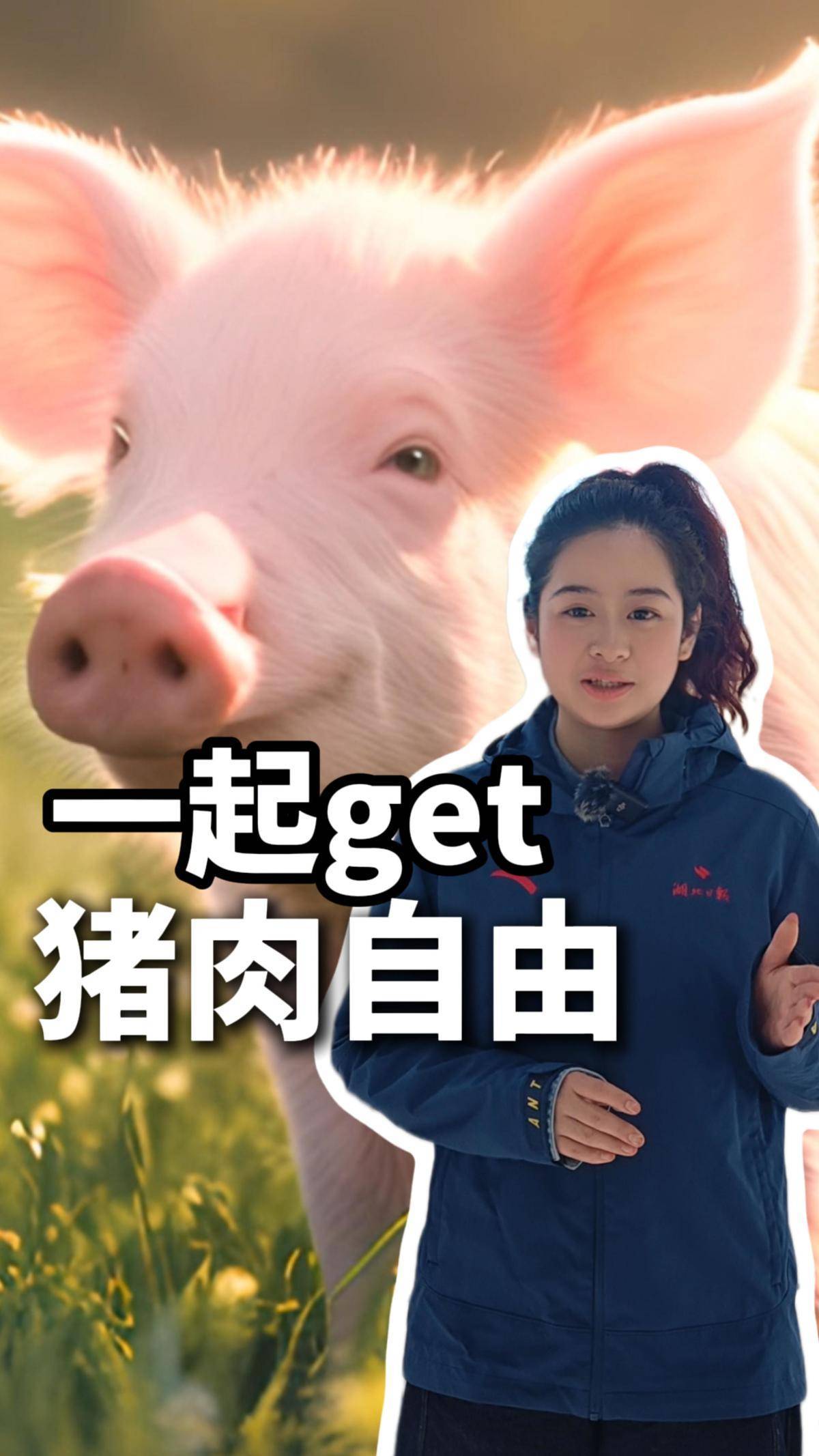  轶清二楚｜猪猪这么可爱，怎么可以不多吃！