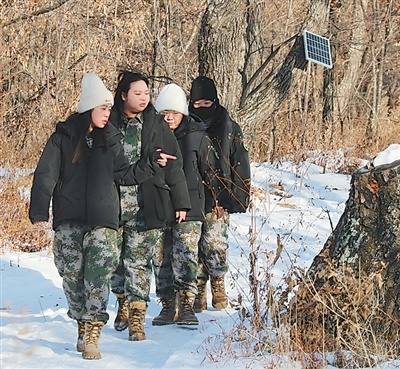 她们穿林踏雪，守护虎豹家园