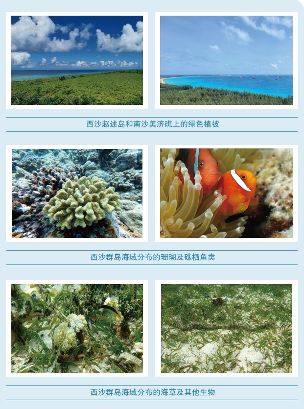 报告显示：南海表层海水符合第一类海水水质标准