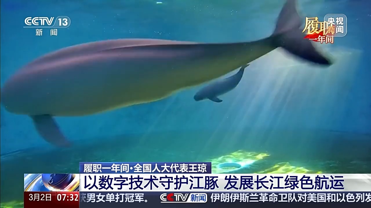 履职一年间丨从守护“长江微笑”到建言绿色航运 她用脚步丈量一江清水