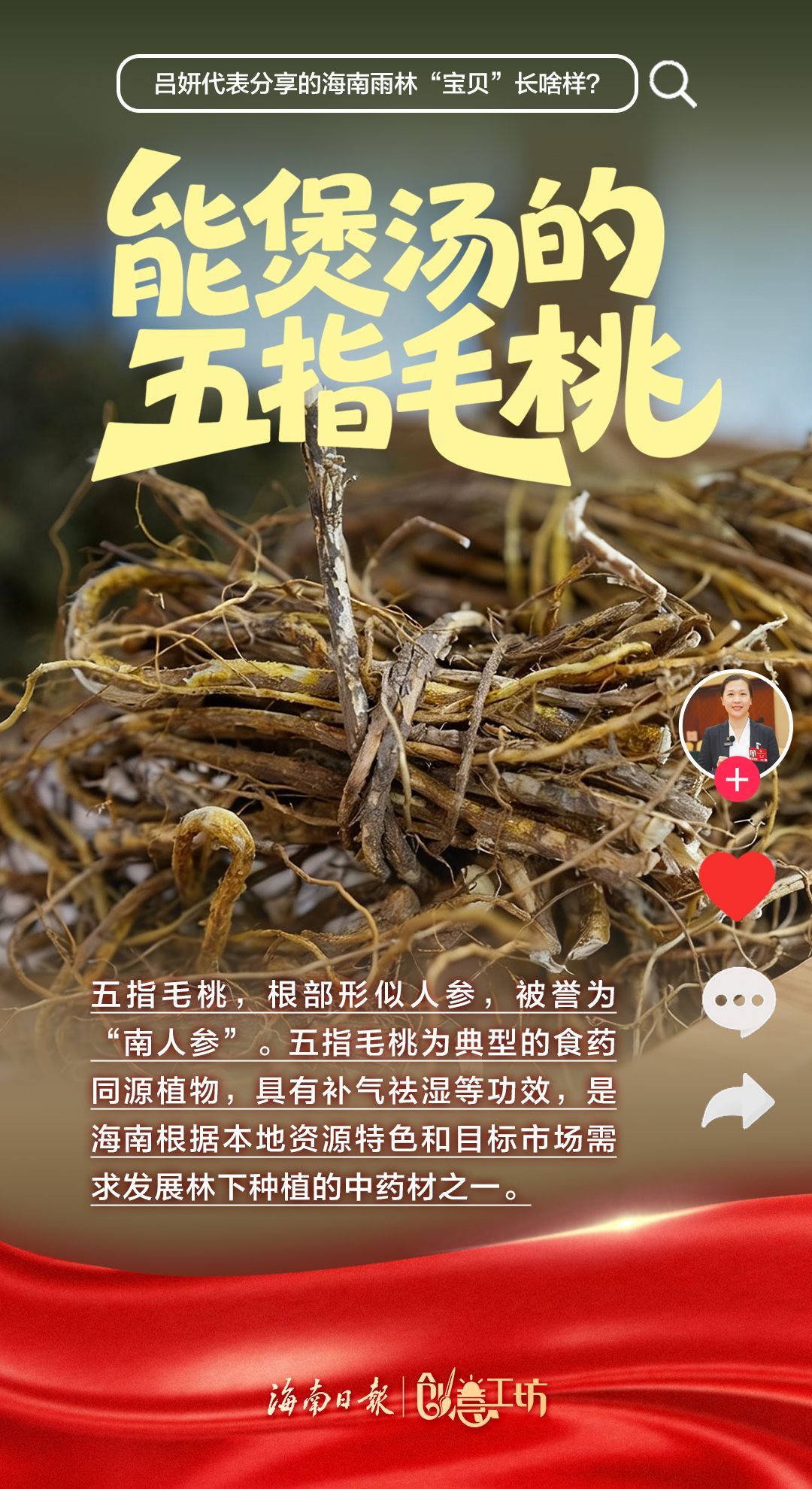 海南雨林“宝贝”长啥样？一起来揭秘→