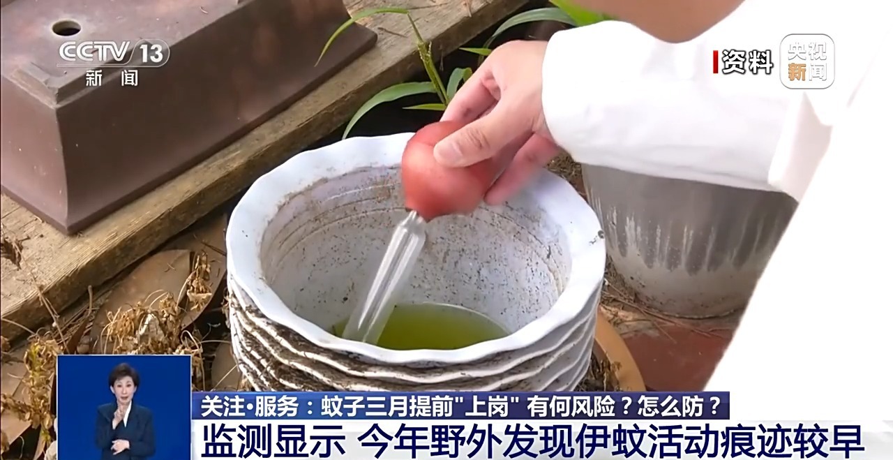 北方多地已发现蚊子踪迹 科学防蚊灭蚊要点→