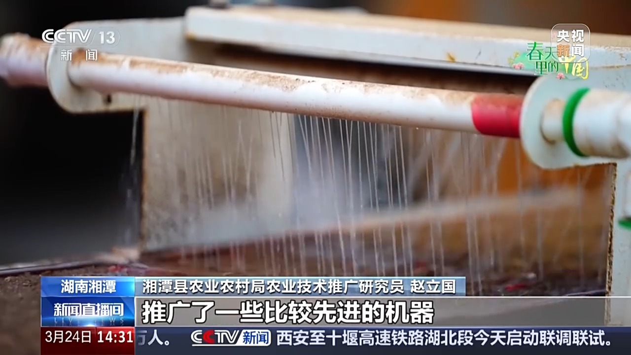 智慧育秧、稻田咖啡、沙漠新绿 各地抢抓农时春耕忙
