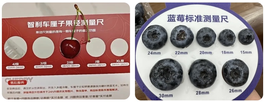  蓝莓不是越大越好 4个技巧教你选出好蓝莓→