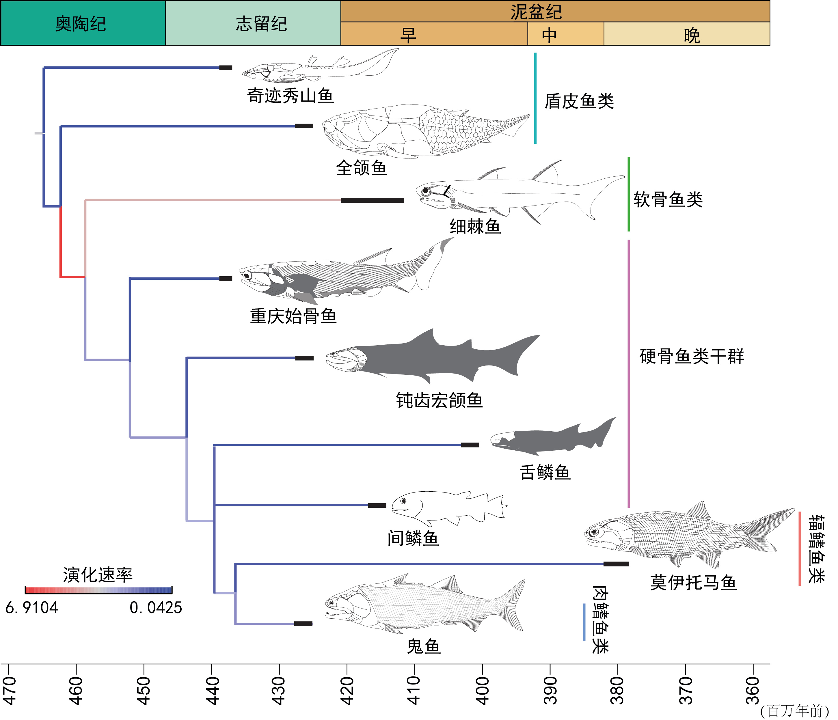 “从鱼到人”探源研究，有重要突破！