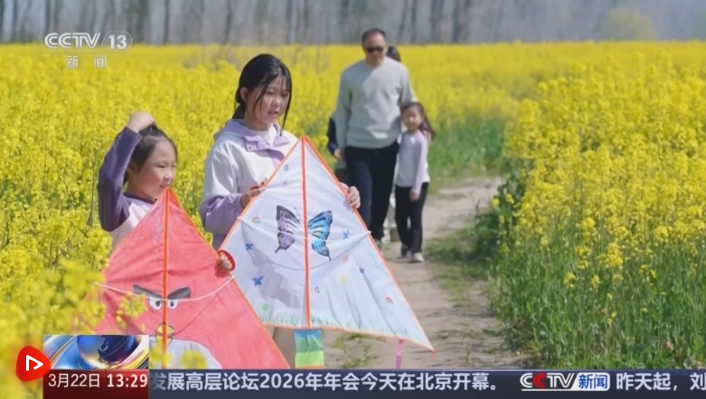  各地抢抓“春日经济”流量红利 “赏花热”扮靓乡村助农增收