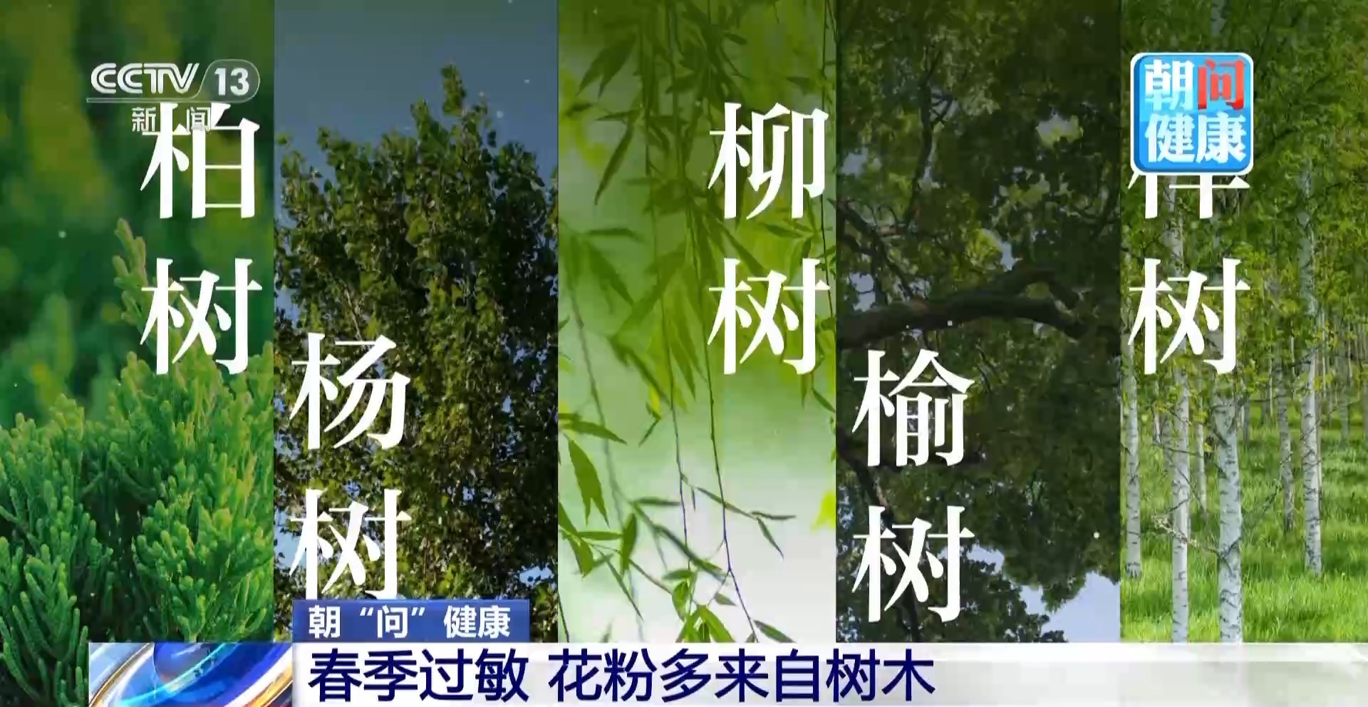  朝“问”健康丨春季过敏进入高发期 花粉季必备防护指南请收→