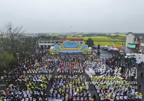 2026湖北油菜花节开幕式沙洋精彩启幕 80万亩油菜花海喜迎八方宾客
