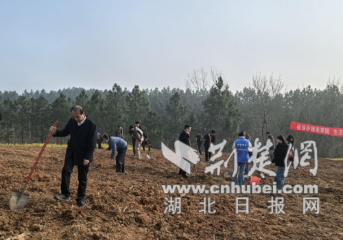 厚植生态底色 共绘绿美画卷——钟祥市磷矿镇开展2026年义务植树活动