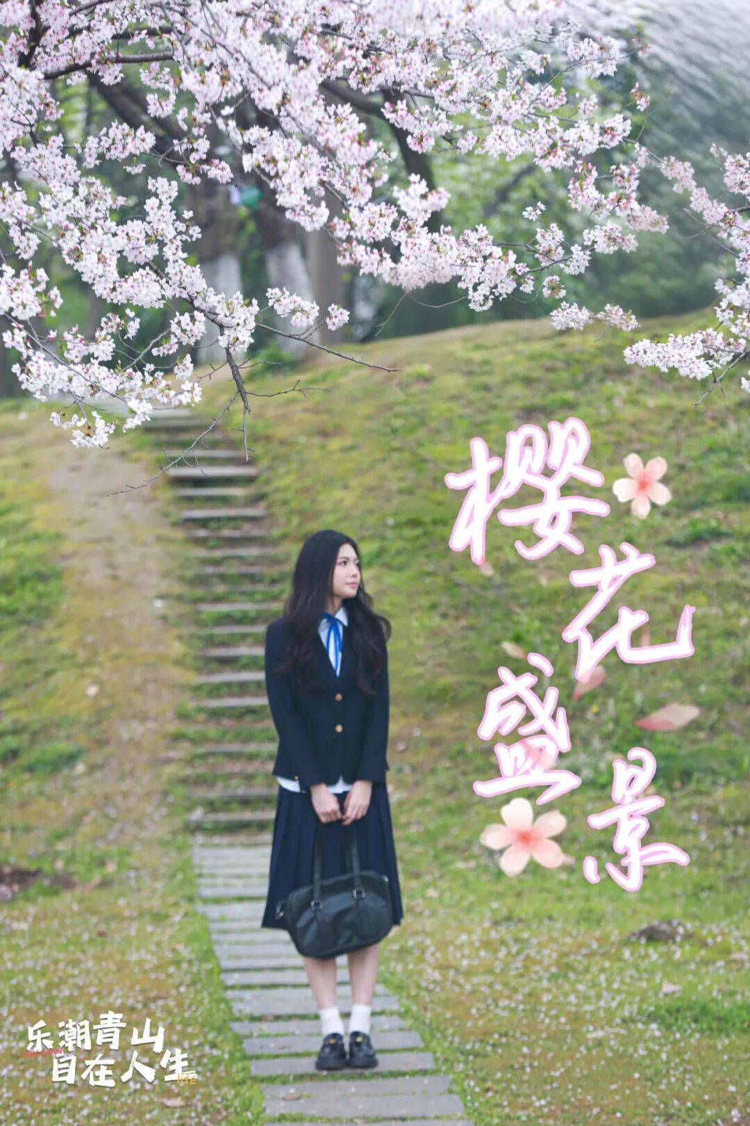 迟到了更美，青山公园樱花海开爆了！