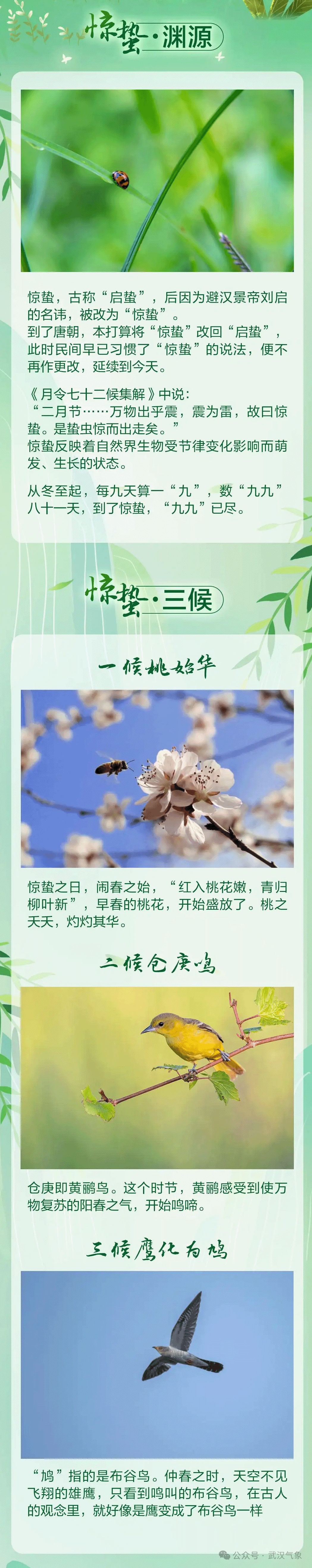 武汉市气温重回15℃以上，雨水增多