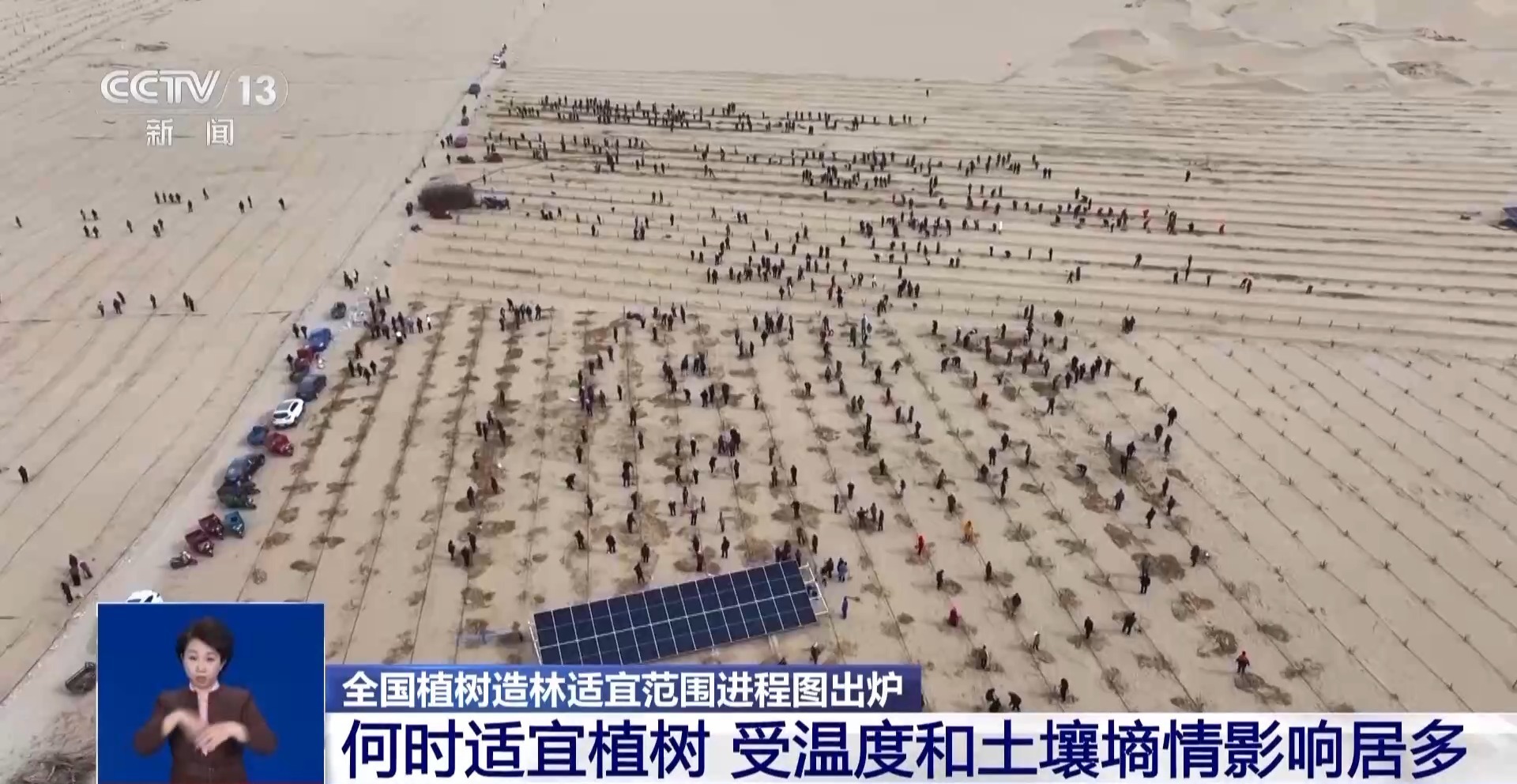 这个春天哪里适合植树？全国植树造林适宜范围进程图来了