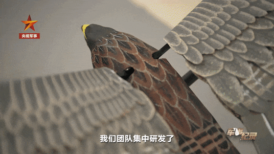 我国无人机，已经“进化”到这种程度了？