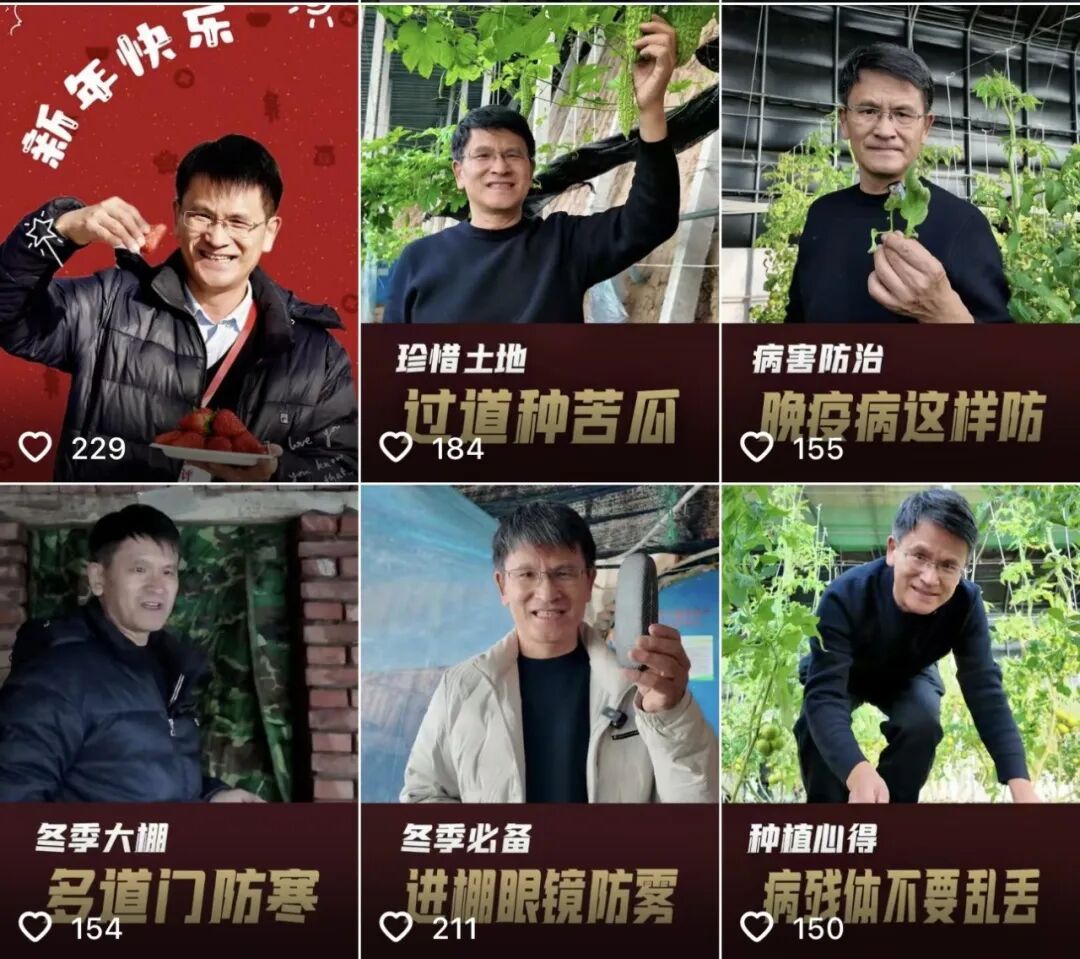 他说种菜的问题都可以问他，网友：我种这个能发财不？