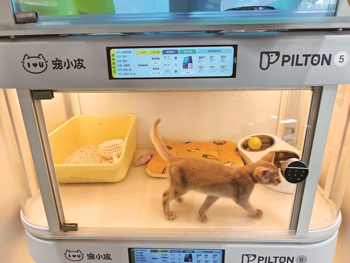  商家用“免费领养”引流  以“储值”为名捆绑消费 多位爱宠人士深陷“猫贷”难脱身