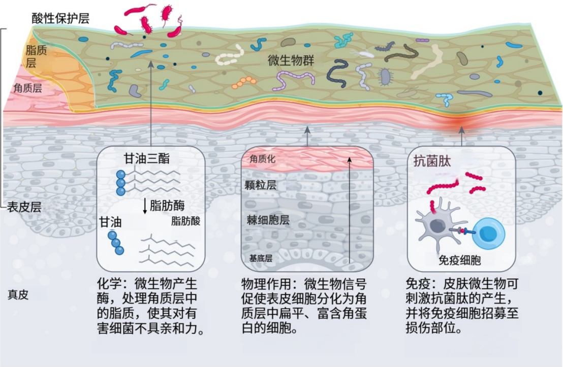  你的护肤方式选对了吗？日常护理先做好这3件“小事”
