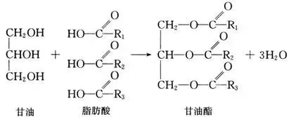 为什么你吃得那么清淡还是胖?控油的尽头,其实是防止脂肪“偷袭”