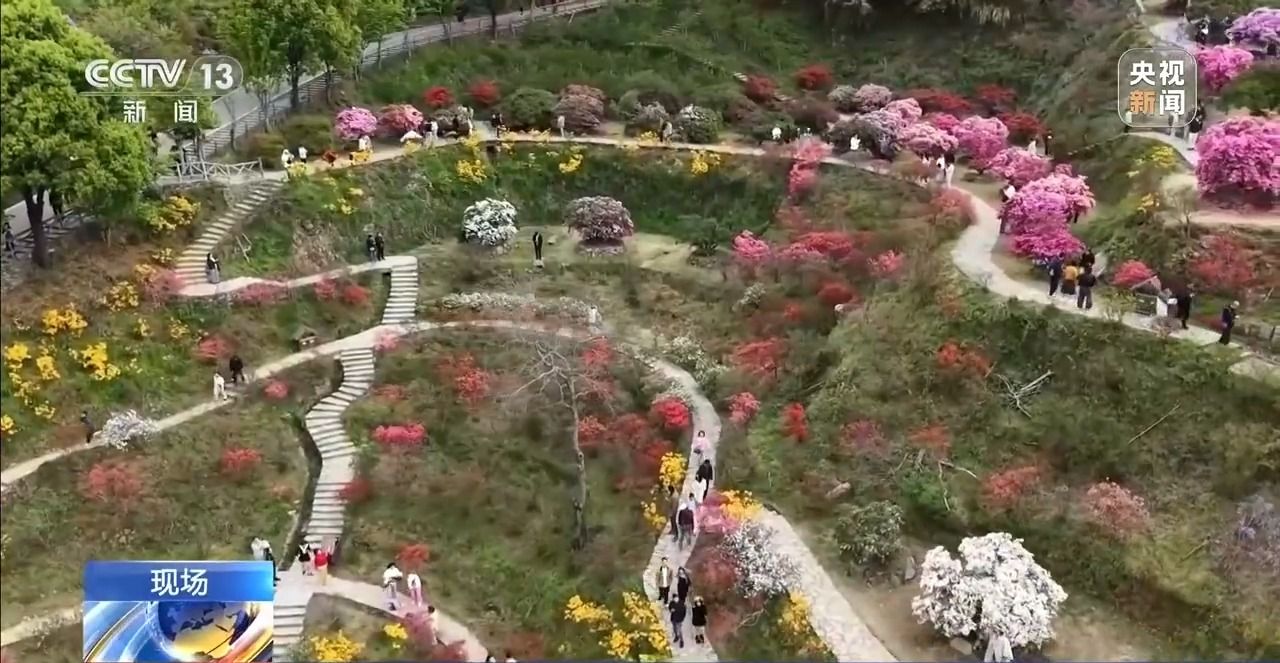 视频丨有“颜”又有“值” 朵朵春花点亮乡村致富路