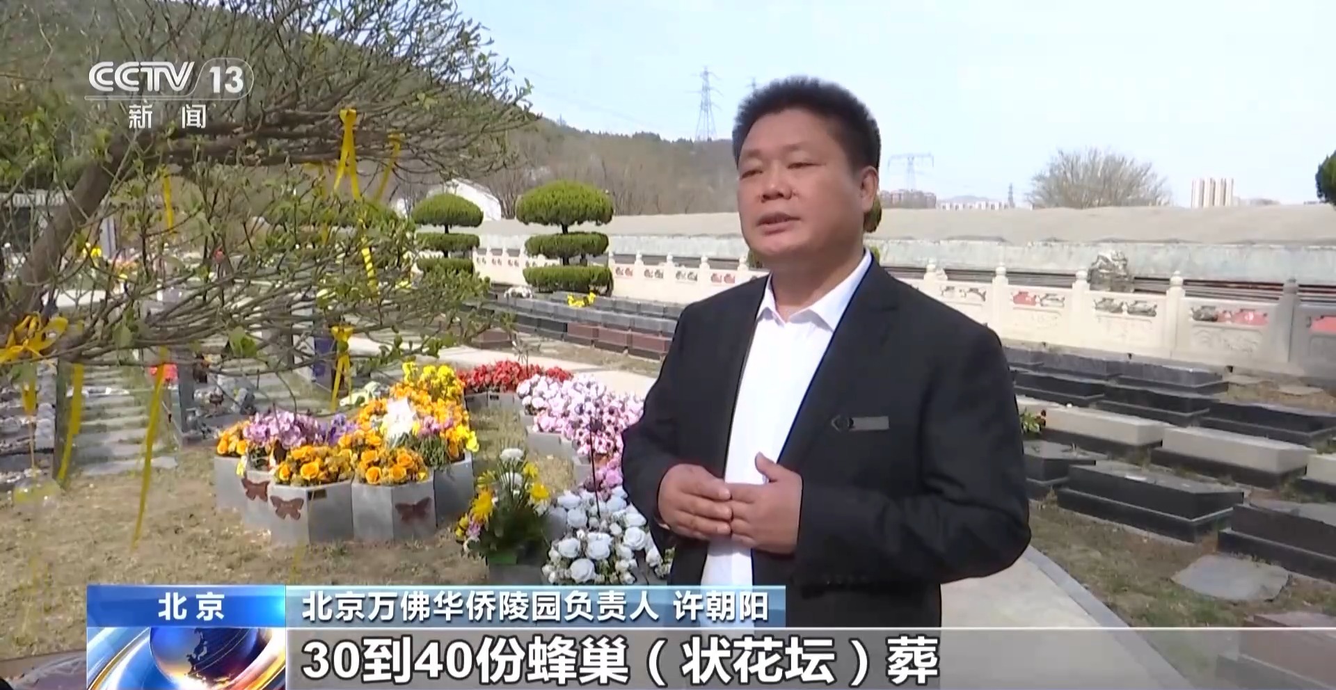 墓隐于林、碑融于景 节地生态葬成“逝有所安”新选项