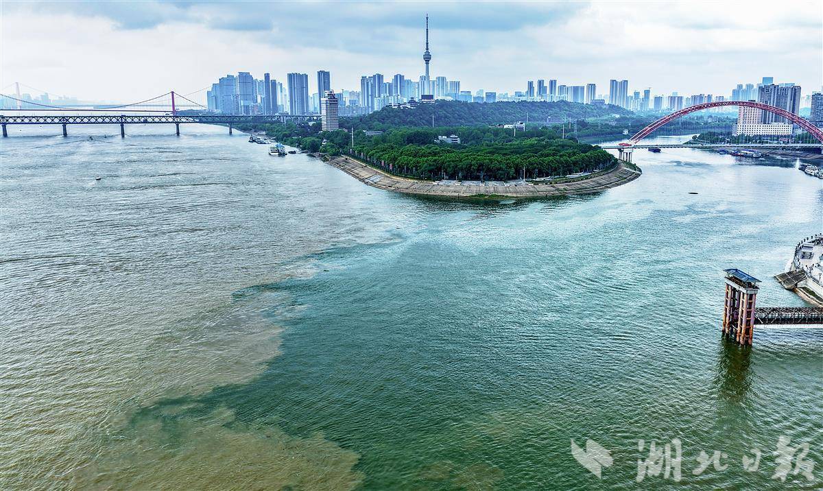  长江水位渐涨，武汉两江交汇现“鸳鸯锅”奇观