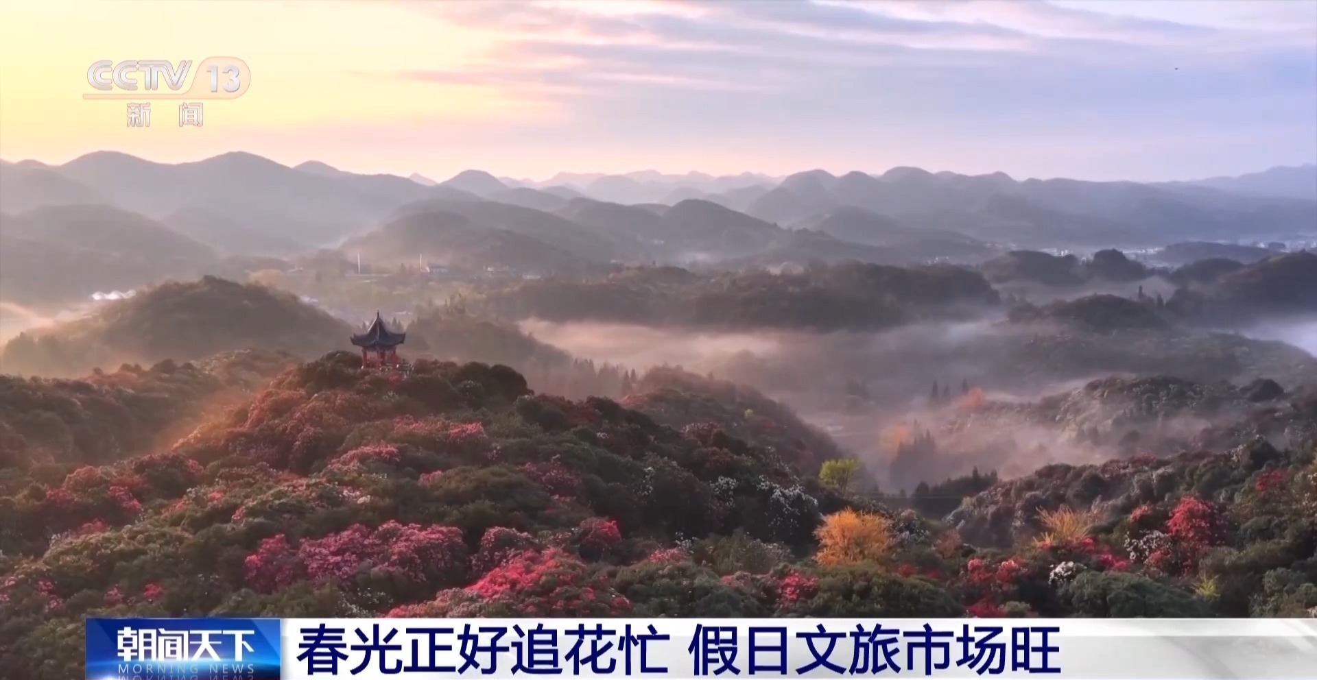 假日“追花地图”热力全开 赏花游带火春日经济