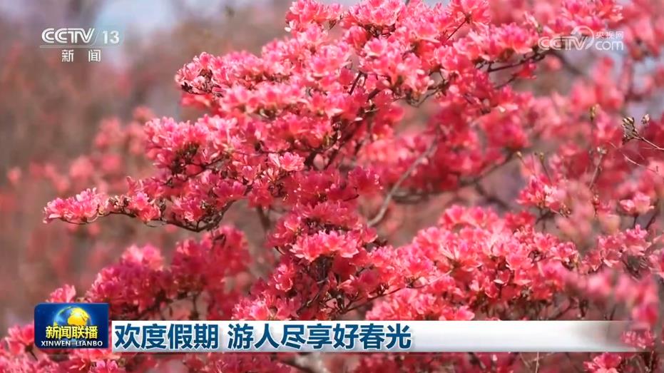  欢度假期 游人尽享好春光