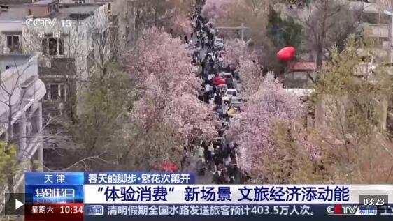 南北春花次第开放 “赏花经济”解锁农文旅融合新业态