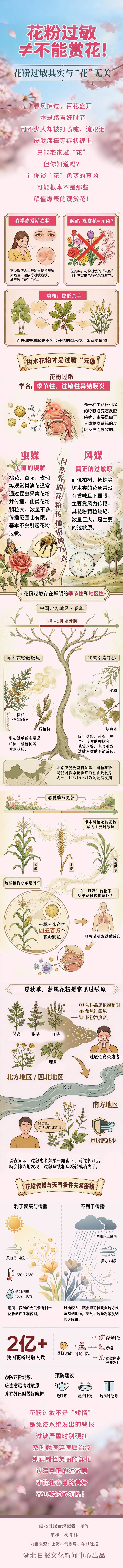  图说｜花粉过敏≠不能赏花！花粉过敏与“花”无关