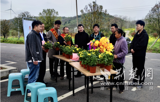 荆门市东宝区多部门联动开展“鲜花换塑”文明实践活动