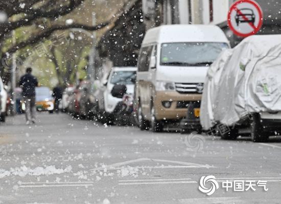 2026杨柳絮预警地图出炉 这份防护指南请收好