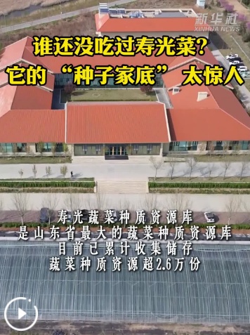 谁还没吃过寿光菜？它的 “种子家底” 太惊人