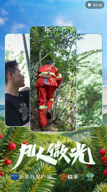 凡人微光｜红豆杉下，五代人的守护