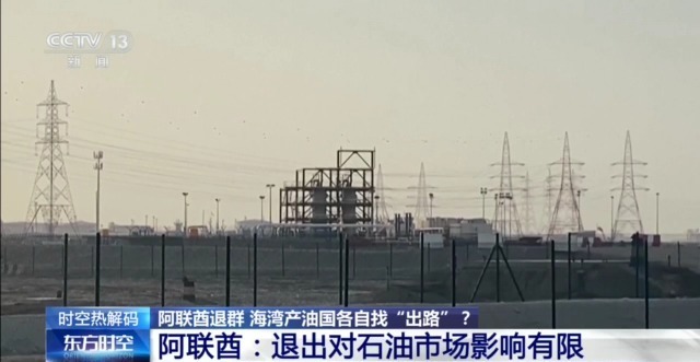 阿联酋“退群” 海湾产油国各自找“出路”？