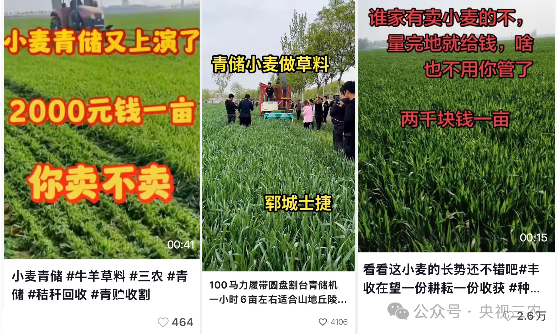 榴莲便宜了是因为北方也开始种?这些谣言不可信