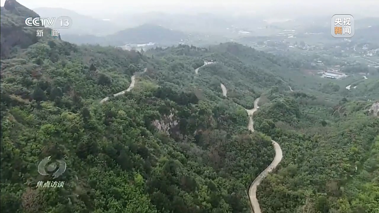 焦点访谈丨从寸草不生到98%植被 地球日看中国如何“缝合”生态伤疤 