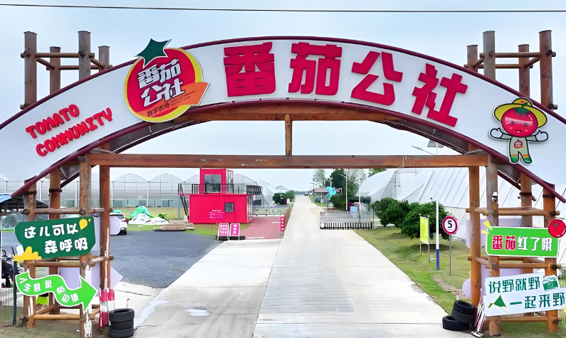 “文旅+智慧农业”深度融合 应城番茄公社迎来春季新玩法