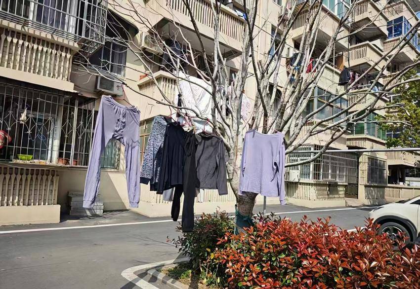  小衣架改出大温暖！民主社区“回头看”，把民生实事办到居民心坎里