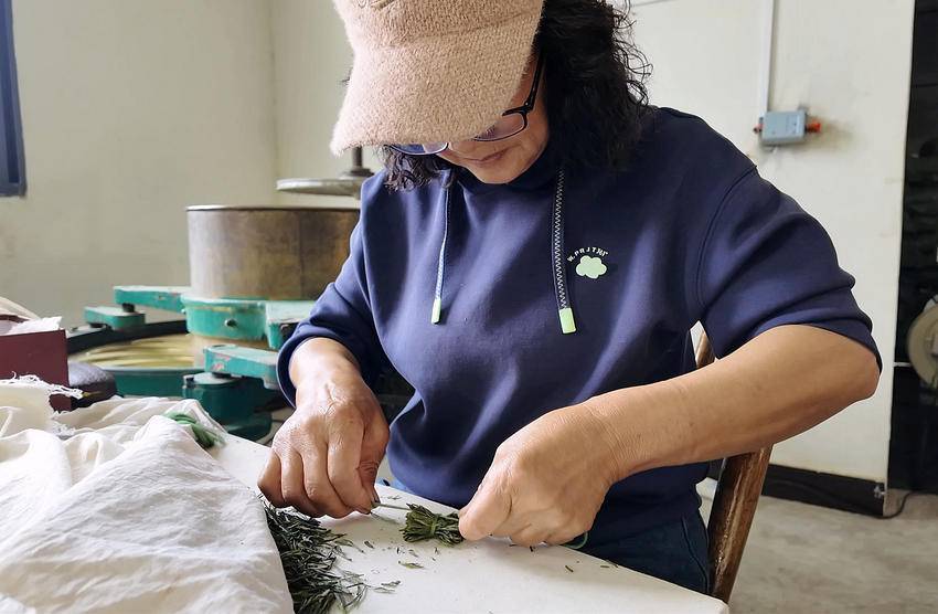 PG电子平台保康堰坪村：技艺“复活”茶香“生金”(图2)