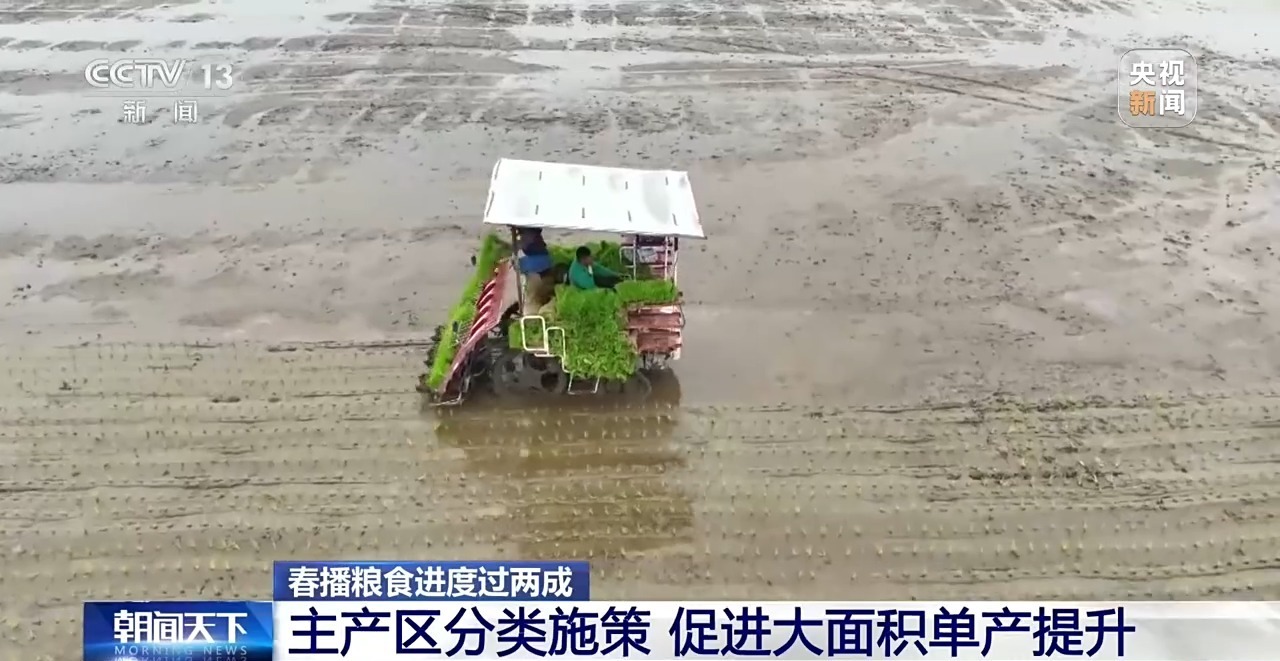  各地多措并举提升粮食单产 我国春播粮食进度已过两成