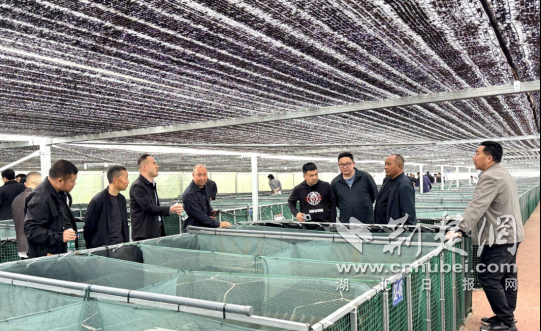 钟祥市召开全市春季水产养殖技术培训会