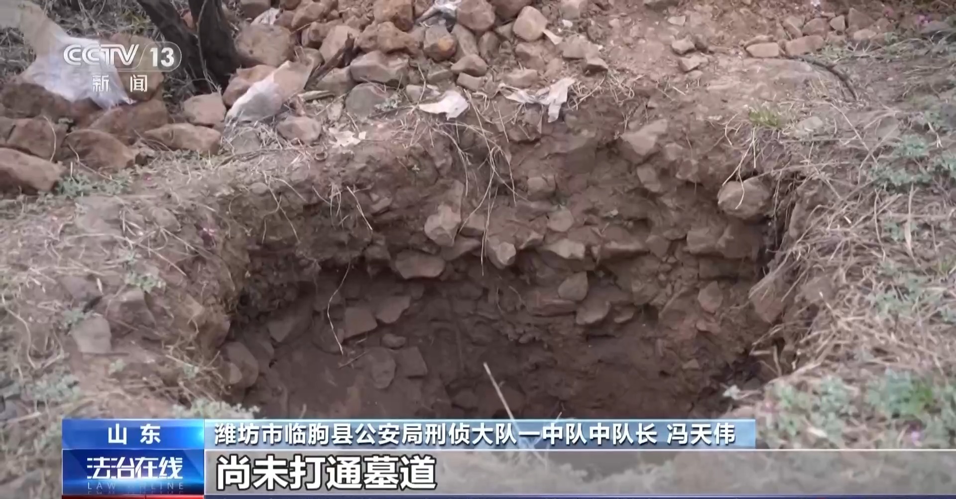 法治在线丨网上结识“专业盗墓团队” 跨省作案全员落网
